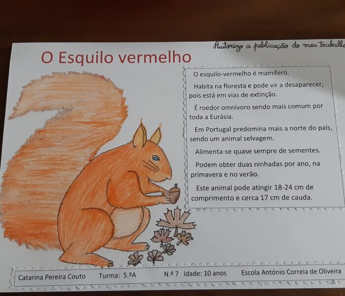 Catarina Couto- 5.ºA