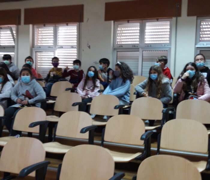 Foto 5.º F- 23 de novembro