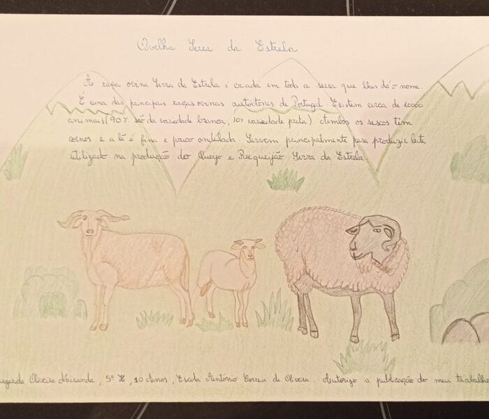 Margarida Miranda , 5.ºH