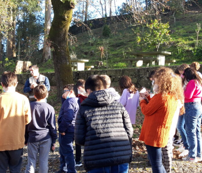 Foto Carvalho - pardo-do-minho- Quercus pyrenaica- Palmeira de Faro