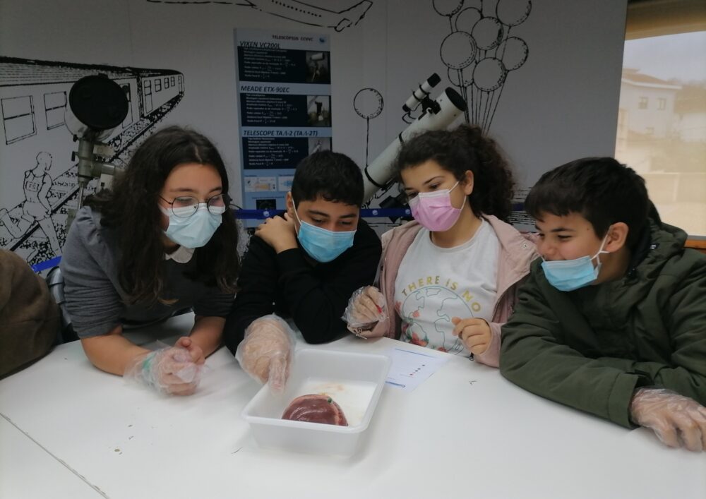 Visita de estudo Centro C. Viva nº1